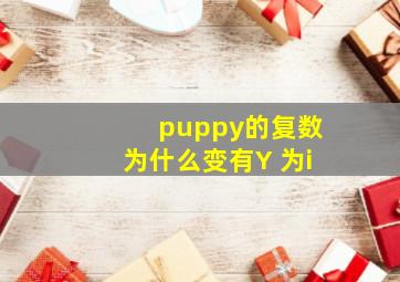 puppy的复数为什么变有Y 为i